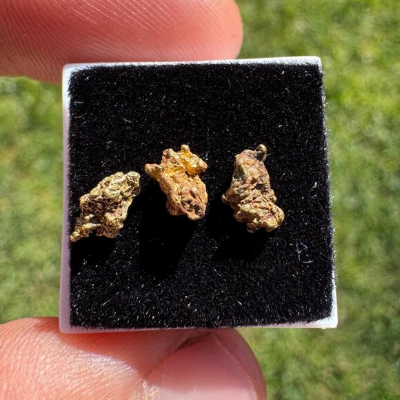 Arizona Gold Nuggets in Display Case - 0.88 grams - Picture 2 of 7